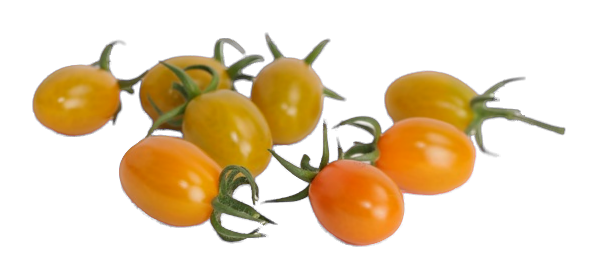 Coloured candy